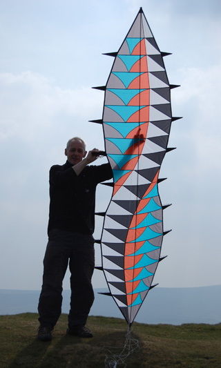 wave kite