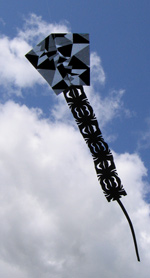 Craft paper kite
