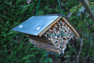 Bee library