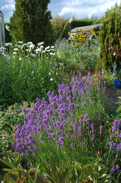 garden