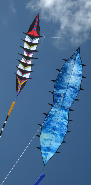 Kites