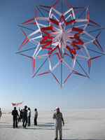 Ahmedabad kite festival