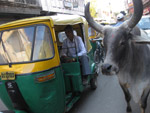 Ahmedabad