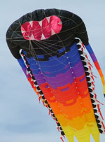 Kite on Bondi beach