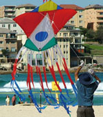 Kite on Bondi beach