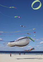 Bondi kite festival