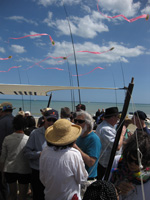 Cervia