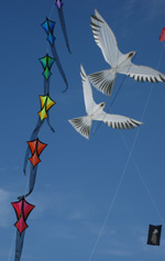 Dieppe kite festival