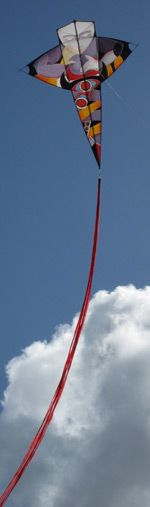 Dieppe kite festival