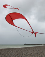 Dieppe kite festival