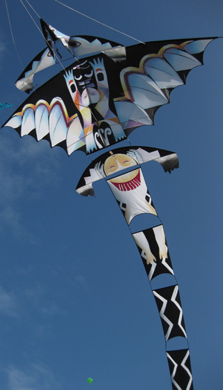 Dieppe kite festival