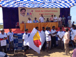 Goa kites