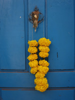 Goa kite festival