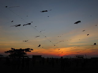 Goa kite festival