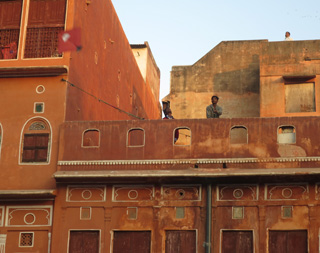 Jaipur kites