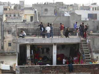 Jaipur kites