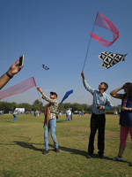 Jodhpur kites