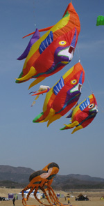 fish windsock