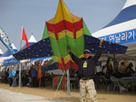 kite