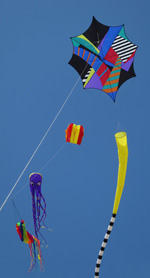 kites