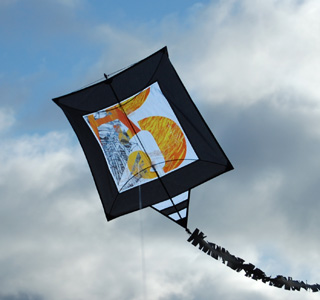 Take5 kite