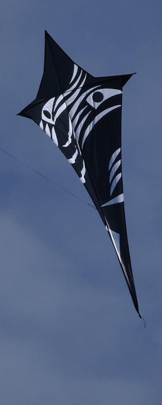 Face kite