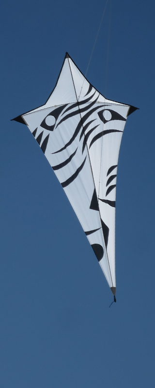 Face kite