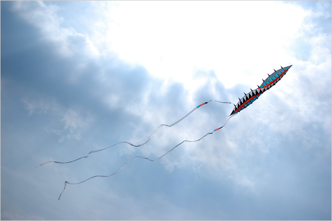 wave kite