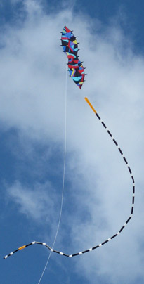 blast with tube tail