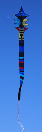 face2face kite