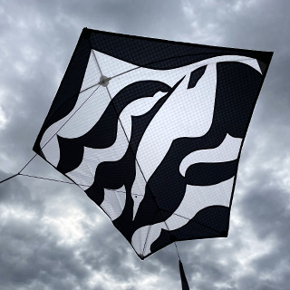 Sky dancer gannet kite