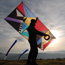 metropolis kite