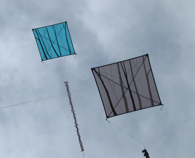 Trees kites